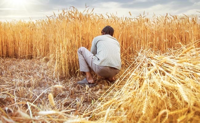 8 Maharashtra Farmers Ended Lives Daily?; Minister Says "Partially True"