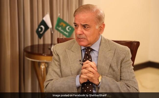 "Pakistan Ready For...": Shehbaz Sharif Reacts To Pahalgam Terror Attack