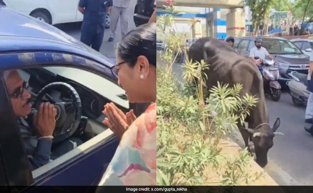 Delhi Chief Minister Sees Man Feeding Roti To Cow On Busy Road. Does This