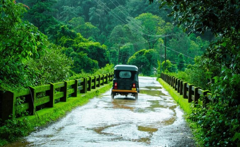 India To Receive Above Normal Rainfall This Monsoon