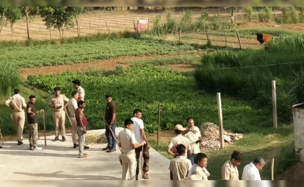 Ranthambore Tigress Which Killed 2 People Caught From Behind Local Hotel