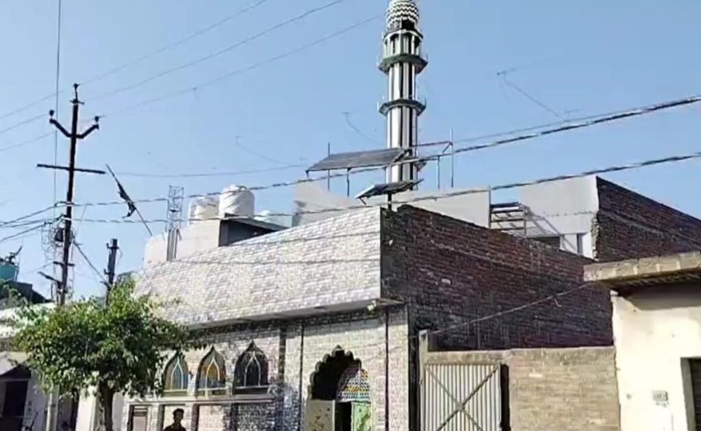 Survey To Continue At Sambhal Mosque, High Court Rejects Muslim Side's Plea