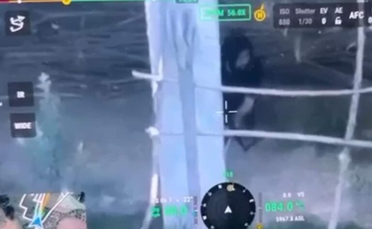 Drone Footage Shows Terrorists Hiding In Shed Before Fierce J&K Encounter