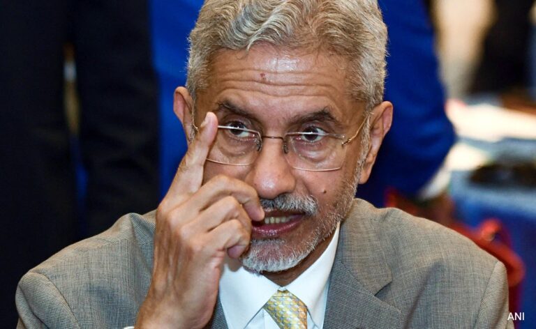 "Complicated, Nothing Decided Till...": S Jaishankar On India-US Trade Deal