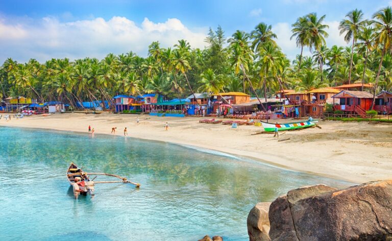"Jan-Jan Sakshar": Goa Declared Fully Literate State On Statehood Day