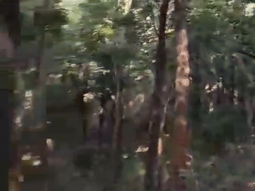 27 नक्सलियों के एनकाउंटर का LIVE VIDEO:इंजीनियर से नक्सली बना बसवाराजू, ताड़मेटला में 76 जवानों का हत्यारा, झीरम हमला-विधायक की हत्या में भी नाम