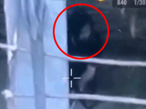 3 आतंकियों को ड्रोन से खोजकर मारने का VIDEO:आतंकी की मां कॉल पर बोली- बेटा सरेंडर कर दो; तुर्किये की कंपनी का सिक्योरिटी क्लियरेंस रद्द