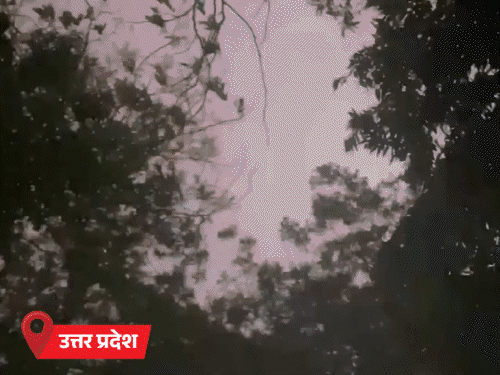 UP में आंधी-बारिश से 24 की मौत,महिला की गर्दन कटी:राजस्थान में 48° पर पारा, पुंछ में तूफान से स्कूल ढहे; 31 राज्यों में अलर्ट