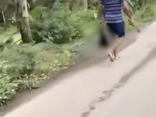 बंगाल में साली का कटा सिर लेकर घूमा व्यक्ति:मंदिर के सामने पहुंचकर जयकारा लगाया; रात को झगड़े में मर्डर किया था, गिरफ्तार