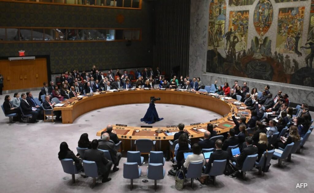 "20,000 Indians Killed In Terrorist Attacks": India Blasts Pakistan At UN