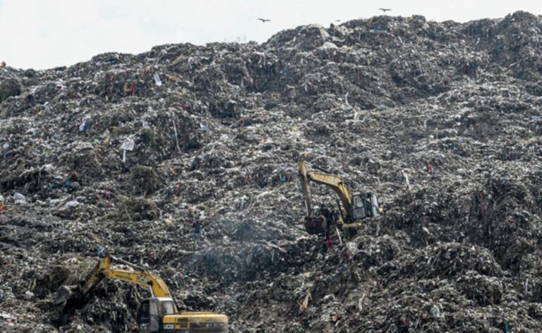 Delhi Mayor Compares Okhla Landfill's "Filth" To Pakistan "Spreading Terrorism"