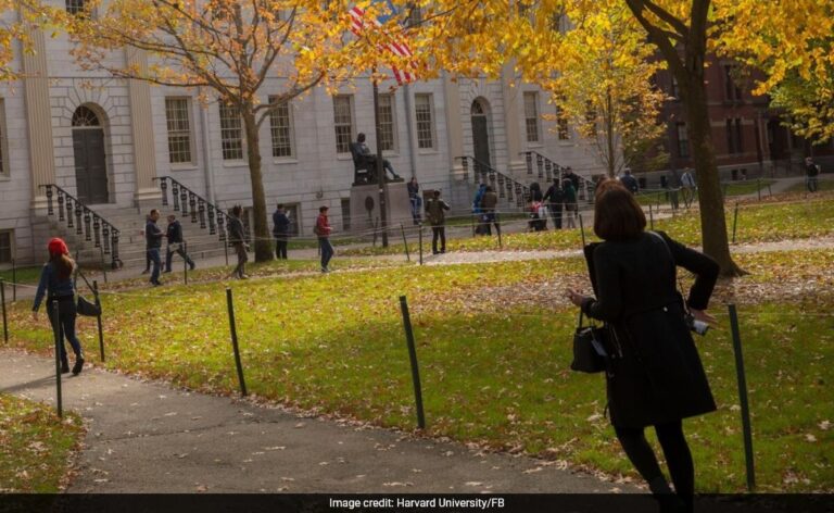 "Every Student Can Find Their Harvard": FAQs On Studying Abroad Answered