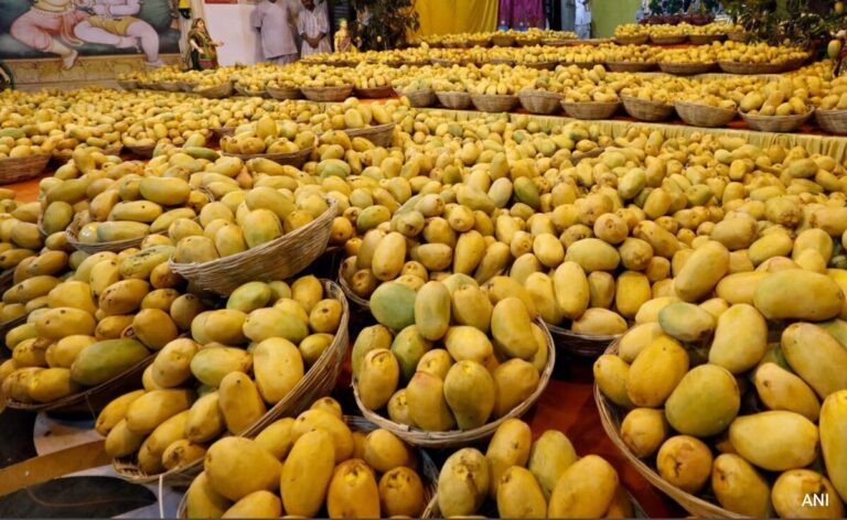 US Rejects 15 Shipments Of Mangoes From India, Cites Documentation Errors