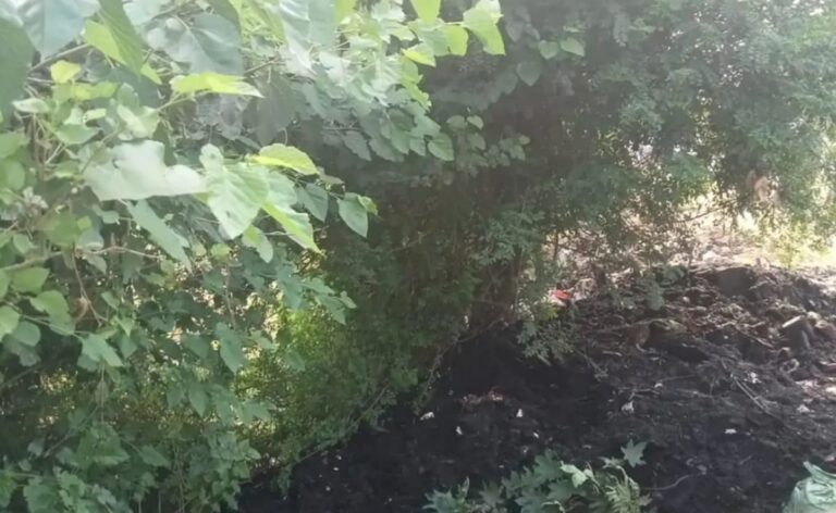 Man, Sleeping Under Tree, Buried Alive As Workers Dump Sludge On Him In UP