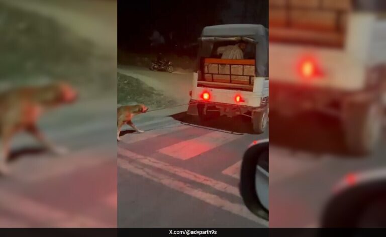 Man Arrested For Dragging Dog Tied To Auto In Greater Noida: Cops