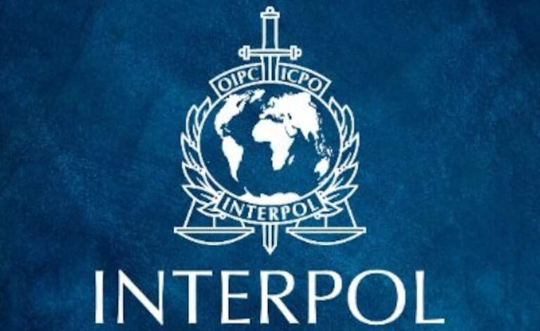 Interpol Issues Two Silver Notices On India's Request