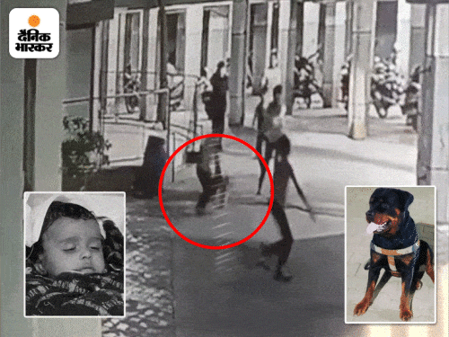 अहमदाबाद: कुत्ते के हमले में 4-महीने की बच्ची की मौत:फोन पर बात कर रही थी मालकिन, हाथ से पट्टा छूटते ही बच्ची पर टूट पड़ा डॉग