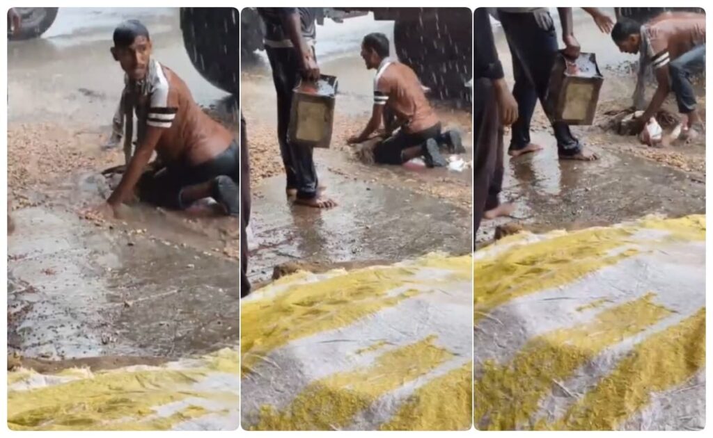 Video: Farmer's Desperate Bid To Save Crop Amid Rain, Then A Call By Union Minister
