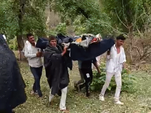 मधुमक्खियों के डंक से बेहोश हुए IAS अफसर, VIDEO वायरल:बचाने के लिए गनर लिपट गया; ललितपुर के जंगल से चारपाई पर लादकर निकाला गया