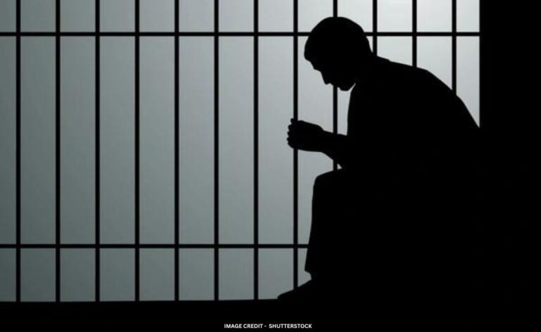 Indian National Gets 3 Weeks Jail For Molesting Cabin Crew Member On Flight