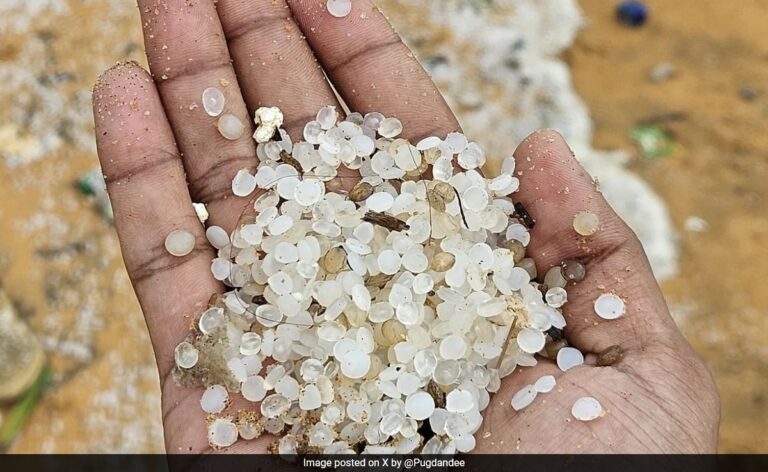 Nurdles, The 5mm-Sized Plastic Pellet Destroying The World, And Killing Us