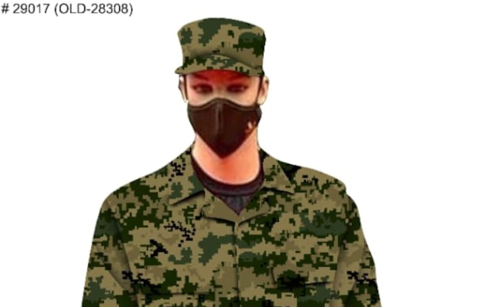 BSF Prepares For Makeover With Digital Camouflage Pattern Uniform