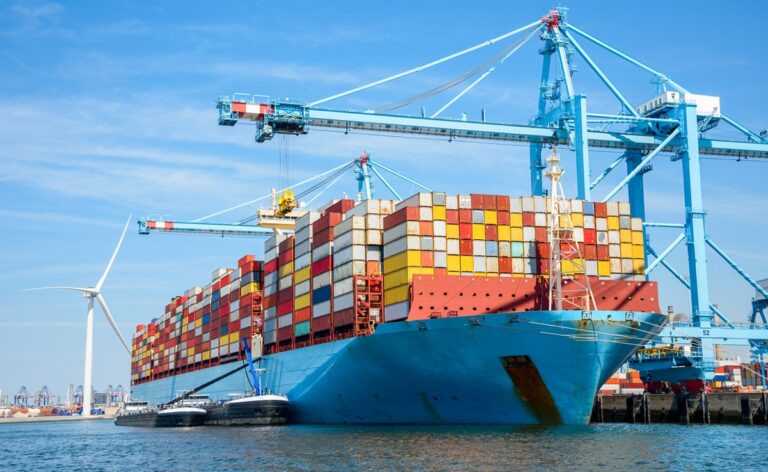 "Headwinds Could Flip Into Tailwinds": What India Said About US Trade Deal