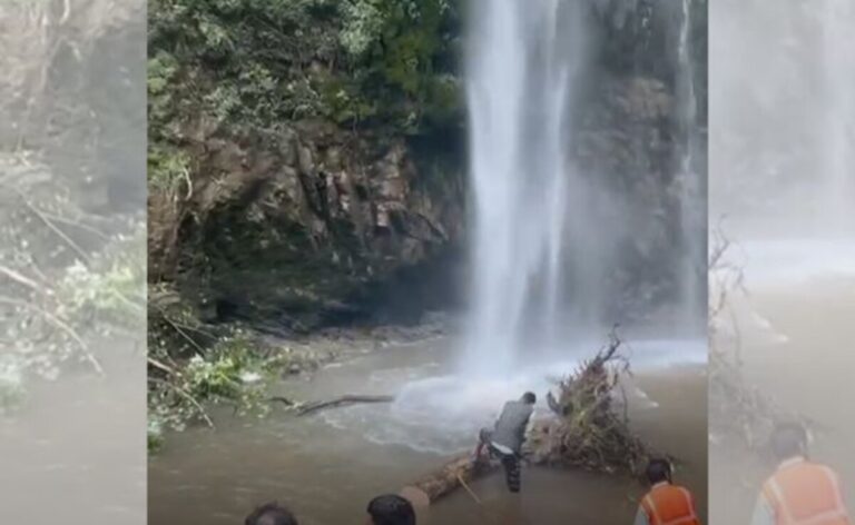 2 Killed As Tree Falls At A Waterfall In Uttarakhand