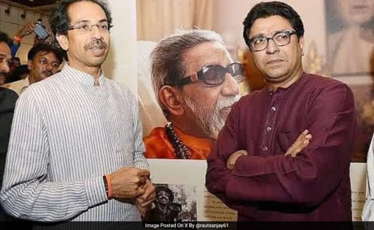 Raj, Uddhav Thackeray Reunite To Oppose Hindi In Maharashtra Schools