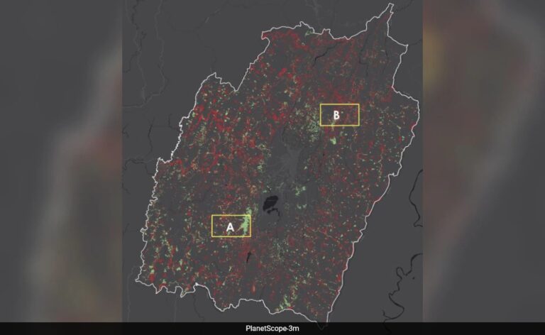 Satellite Data Shows Manipur Lost 52,000 Acres Of Forest In 4 Four Years: Study