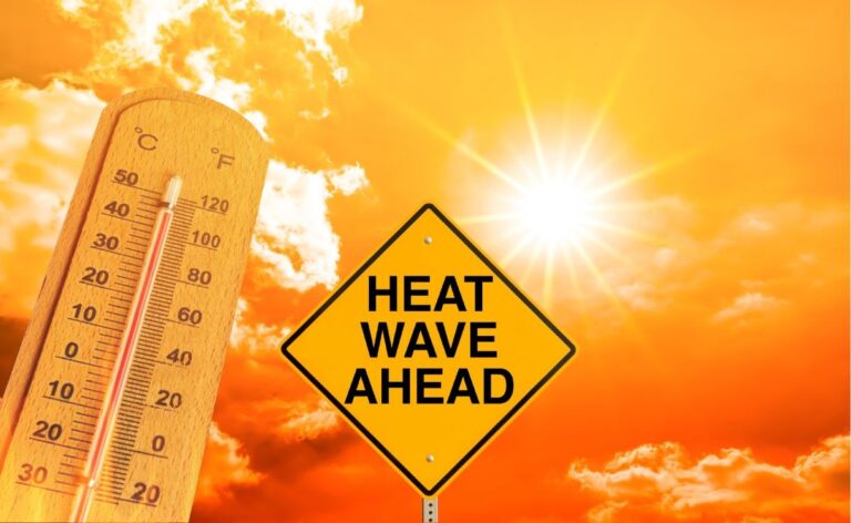 Heatwave Batters Rajasthan, Highest Temperature At 49.4 Degrees Celsius