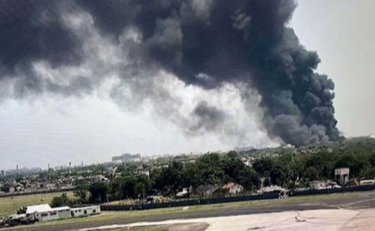 Plane May Not Have Achieved Optimum Take-Off Speed Due To Bird Hit: Experts
