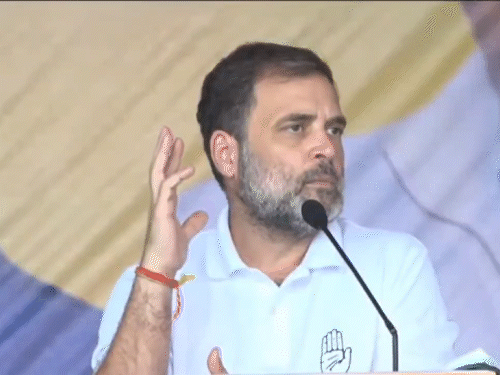 हरियाणा कांग्रेस को लेकर राहुल गांधी आज लेंगे फीडबैक:22 जिलों के पर्यवेक्षकों को दिल्ली बुलाया, गुटबाजी-झगड़ों और दबाव की भी होगी पड़ताल