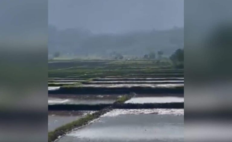 "Army Not Involved": Defence Ministry Flags Misinformation In Manipur Reports Over Churachandpur Shutdown