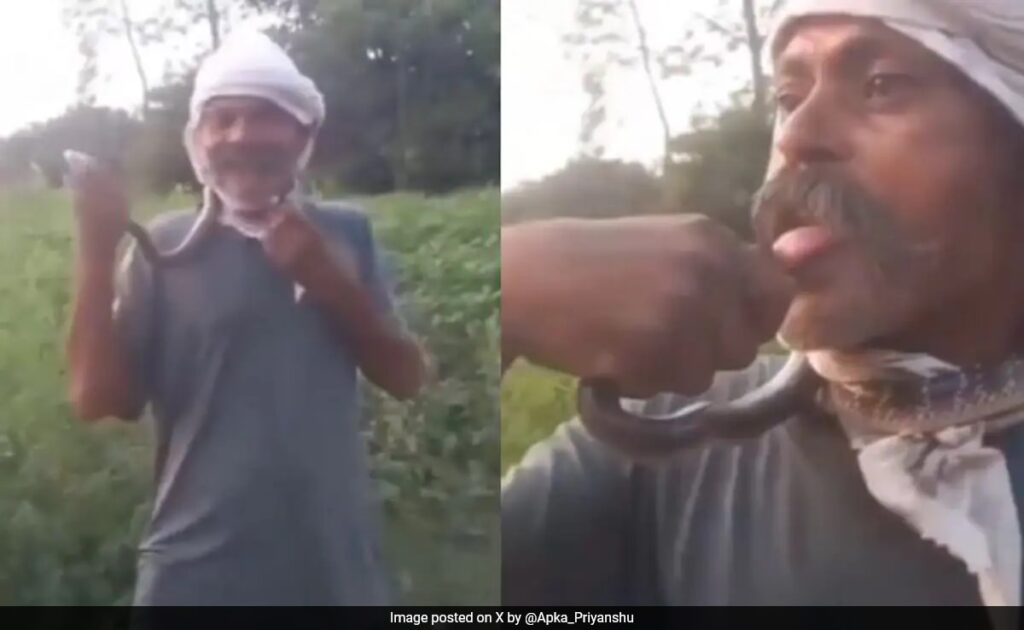 Watch: 50-Year-Old UP Man Attempts To Kiss Snake For Reel, Bitten On Tongue