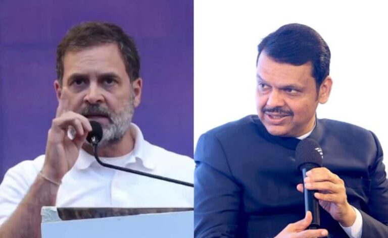 'Article vs Article': Devendra Fadnavis Responds To Rahul Gandhi's Poll Rigging Claim