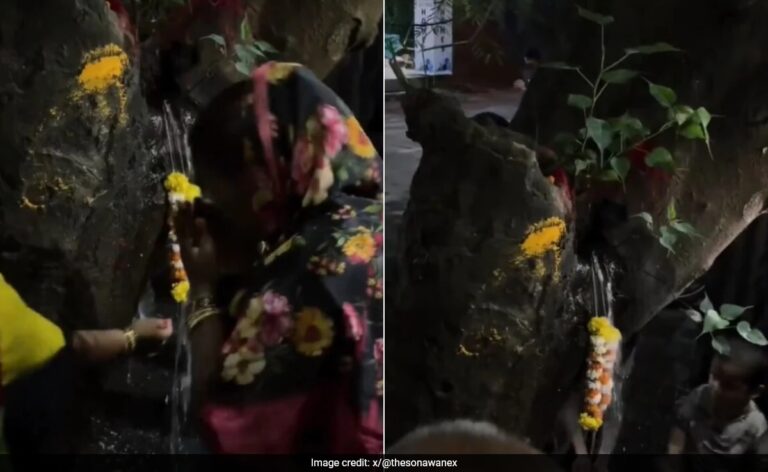 Pune Residents Worship Tree Gushing Out "Holy Water". It Turns Out To Be...