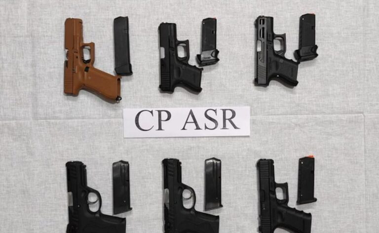 Man Linked To Babbar Khalsa Terror Group Arrested In Punjab, 6 Pistols Seized