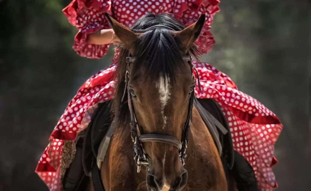 Ponywallahs Facing A Loss Of Rs 2 Crore A Day In Pahalgam