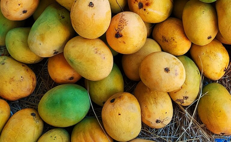 Man Beaten To Death Over Suspicion Of Mango Theft In Gujarat, 5 Arrested