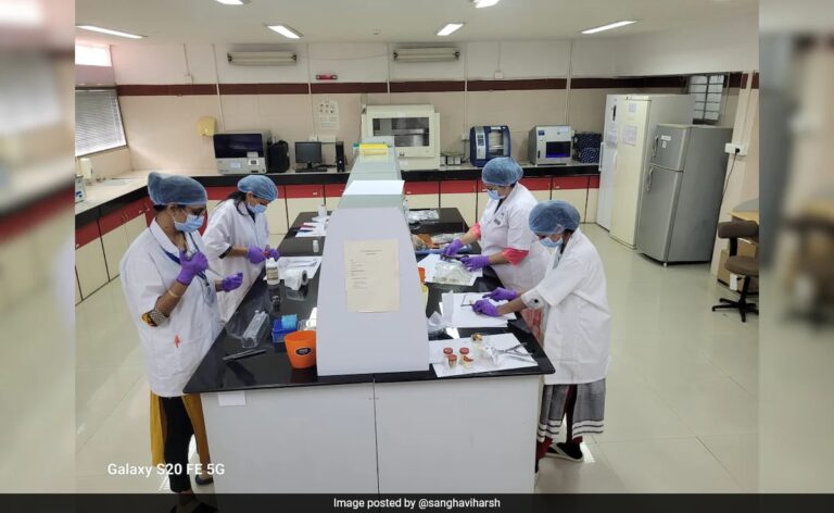 Inside Gujarat's 24x7 Forensic Lab Identifying Air India Crash Victims