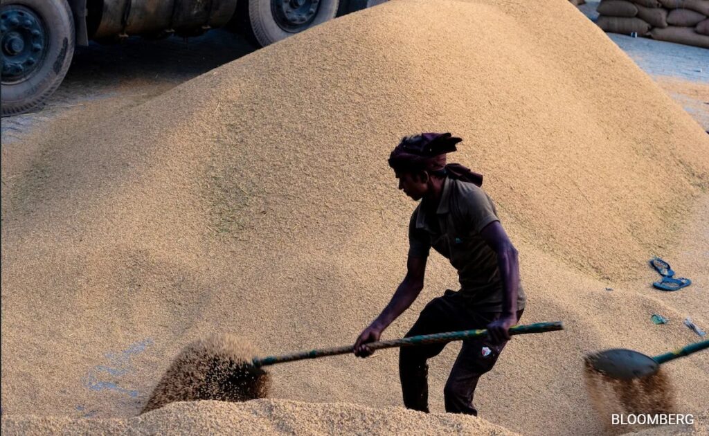 India's Rice Bins Are Stuffed And Another Record Crop Coming