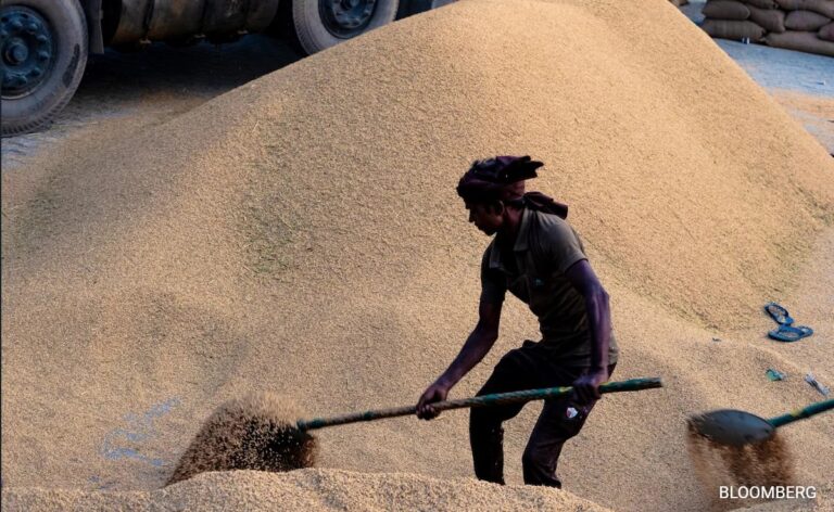 India's Rice Bins Are Stuffed And Another Record Crop Coming