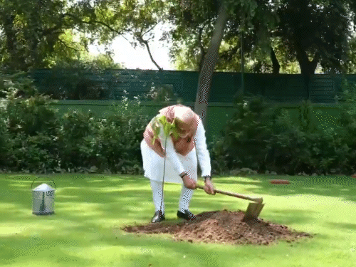 मोदी ने PM आवास में सिंदूर का पौधा लगाया:गुजरात दौरे पर 1971 के भारत-PAK युद्ध की वीरांगनाओं ने दिया था