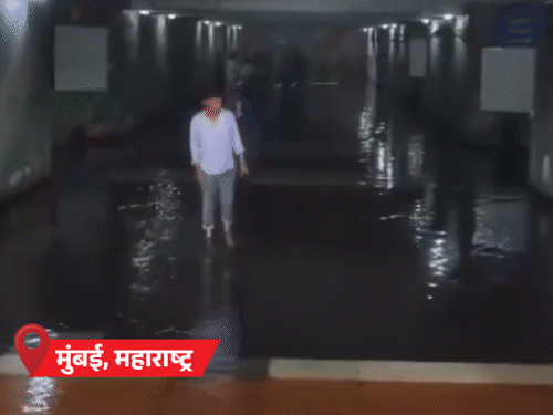बिहार-झारखंड पहुंचा मानसून, 19 राज्यों में बारिश:राजस्थान में प्री मानसून एक्टिव; UP समेत 4 राज्यों में बिजली गिरने से 19 की मौत