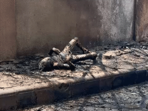 40 PHOTOS में अहमदाबाद प्लेन क्रैश:सड़कों पर लाशें बिखरीं, स्ट्रेचर पर मृतकों के अवशेष; हॉस्पिटल में रोते-बिलखते परिजन की भीड़