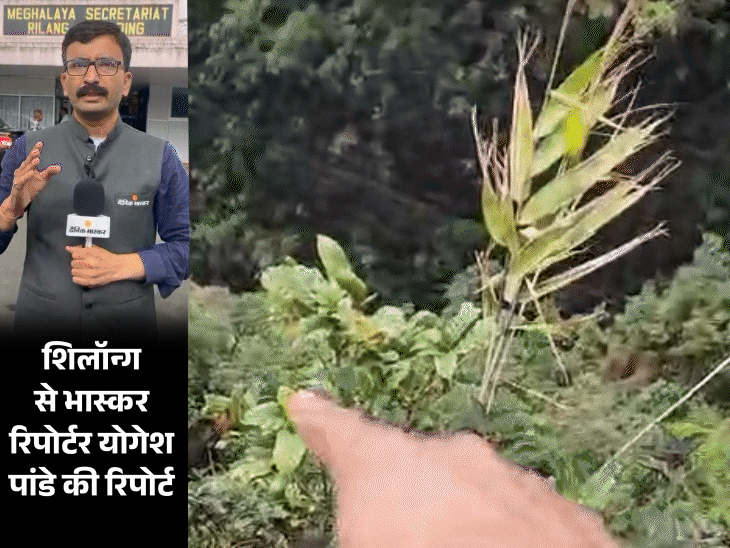 सोनम के सामने हुआ पति राजा का मर्डर:चीखकर कहा- मार दो इसे; हत्या के बाद अकेले गुवाहाटी, फिर यूपी पहुंची