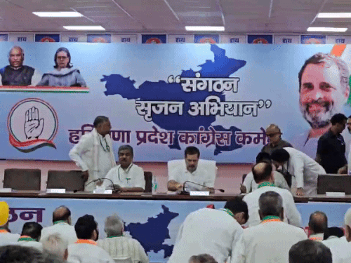 राहुल गांधी की हरियाणा कांग्रेस के सीनियर नेताओं-ऑब्जर्वरों से मीटिंग:कहा- किसी नेता की सिफारिश नहीं चलेगी, उदयभान बोले- संगठन न होने से बेचैनी थी