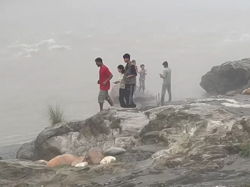 हिमाचल में एडवाइजरी के बावजूद टूरिस्ट की लापरवाही, VIDEO:बीच नदी में सेल्फी लेने उतरे; CM ने की नदी-नालों के आसपास न जाने की अपील