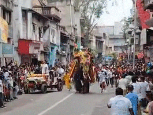 अहमदाबाद जगन्नाथ रथयात्रा में डीजे से हाथी बेकाबू...VIDEO:100 मीटर तक भागा, डर से अफरा-तफरी मची; 17 हाथियों के ग्रुप में सबसे आगे चल रहा था